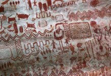 Las pinturas milenarias de La Lindosa llegaron al Museo del Oro. Exposición para comprender la complejidad de las culturas amazónicas