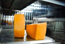 Quesos colombianos competirán en la Primera Copa Colombiana de Quesos Frescos