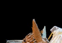 ‘Pedro y el lobo: ¿Quién dijo miedo?’, el gran estreno familiar del FIAV Bogotá con Juan Pablo Raba como narrador