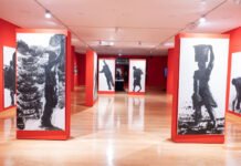 Constanza Aguirre presenta “Errancia en el país del olvido” en la Alianza Francesa de Bogotá