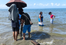 Luces, Cámara y Comunidad: una retrospectiva del cine comunitario colombiano en el Museo Nacional