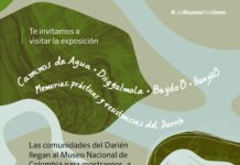 El Darién llega al Museo Nacional de Colombia con ‘Caminos de Agua’, exposición en la que el agua es vida, identidad y resistencia
