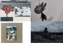 El 17 de septiembre se inauguró ‘De la casa al universo’, exposición del XVI Salón de Arte Joven