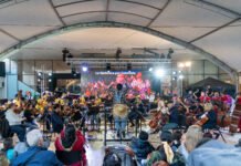 Halloween de película: la Orquesta Sinfónica Nacional de Colombia ofrece un concierto gratuito para toda la familia