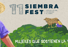 La Organización de las Naciones Unidas para la Alimentación y la Agricultura se une a la 11. ª edición del SiembraFest – Festival de Cine Colombiano al Campo