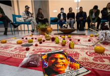 ‘Voces y memorias que crean caminos de paz’, la programación del Idartes para conmemorar los 10 años del Acuerdo de Paz
