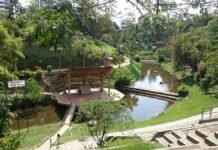 Un bosque encantado para una feria encantadora: FILAQ 2026